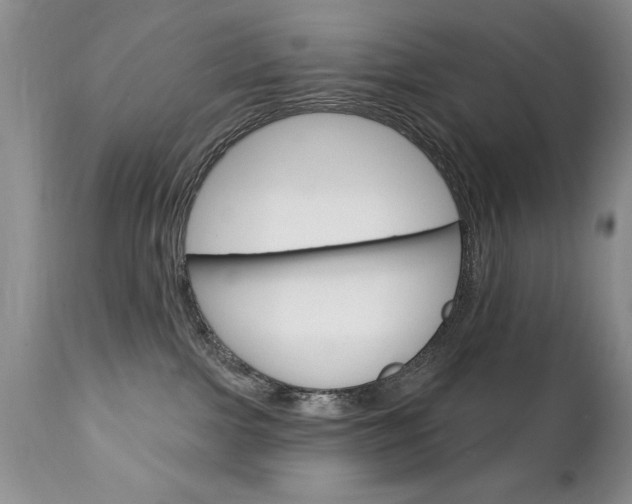 X0000111130091200906301115
