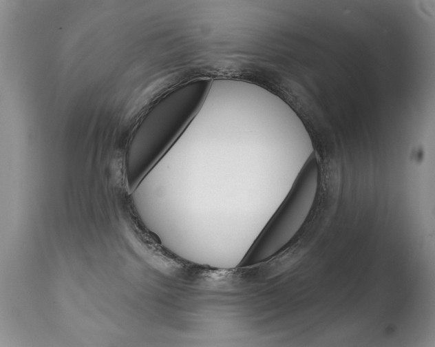 X0000111130092200906301115