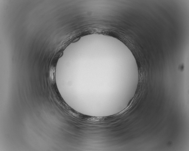 X0000111130094200906301115