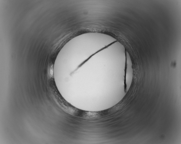 X0000111130095200906301115