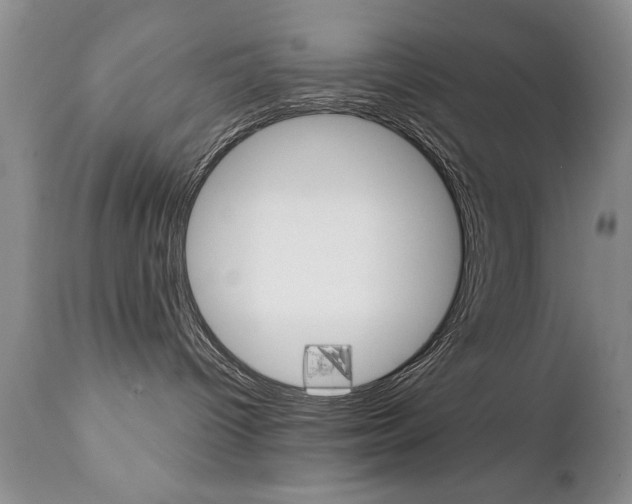 X0000111130096200906301115