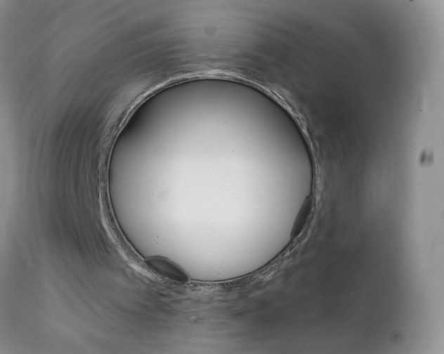X0000111130097200906301115