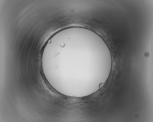 X0000111130098200906301115