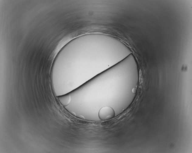 X0000111130099200906301115