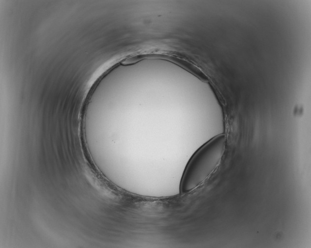 X0000111130100200906301115