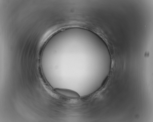 X0000111130101200906301115