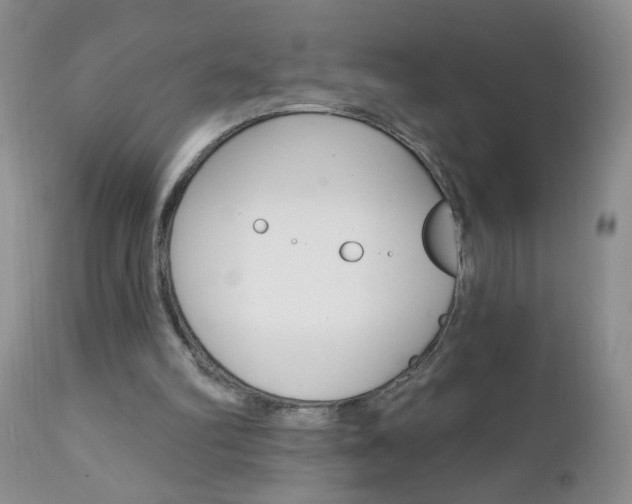 X0000111130102200906301115
