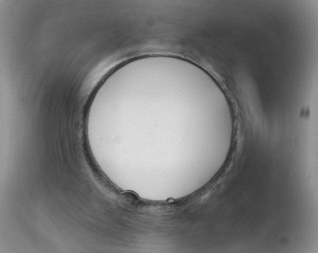 X0000111130103200906301115