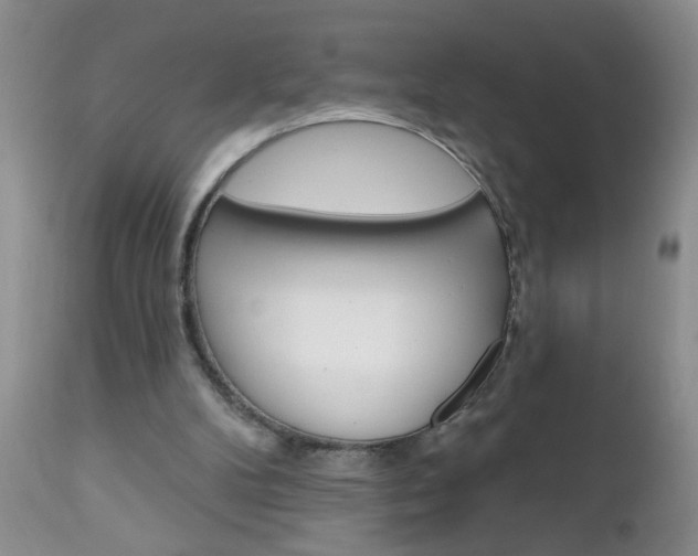 X0000111130104200906301115
