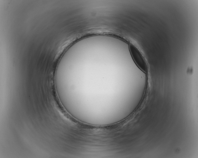 X0000111130105200906301115