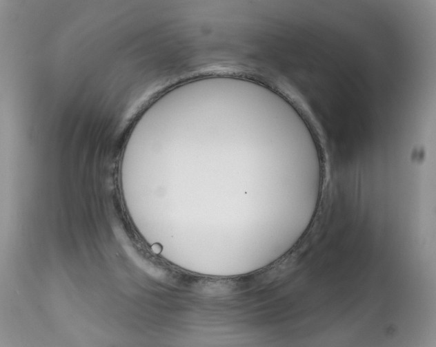 X0000111130106200906301115