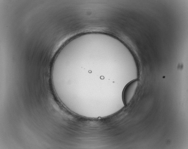X0000111130107200906301115