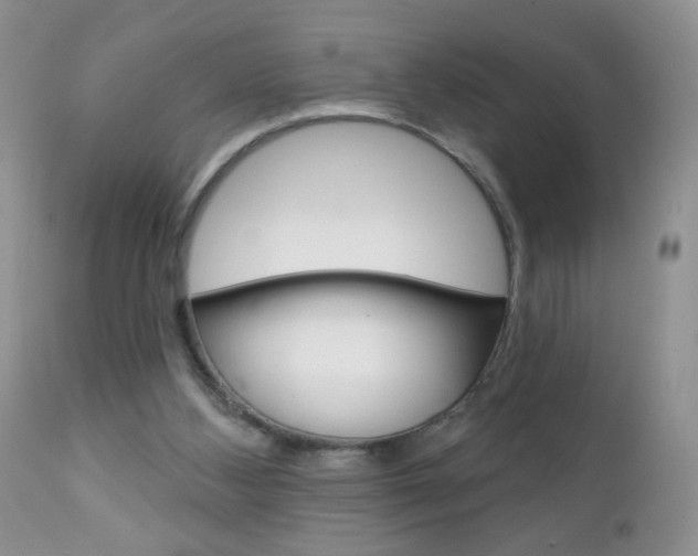 X0000111130108200906301115