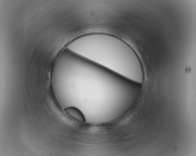 X0000111130109200906301114