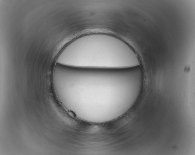 X0000111130111200906301114