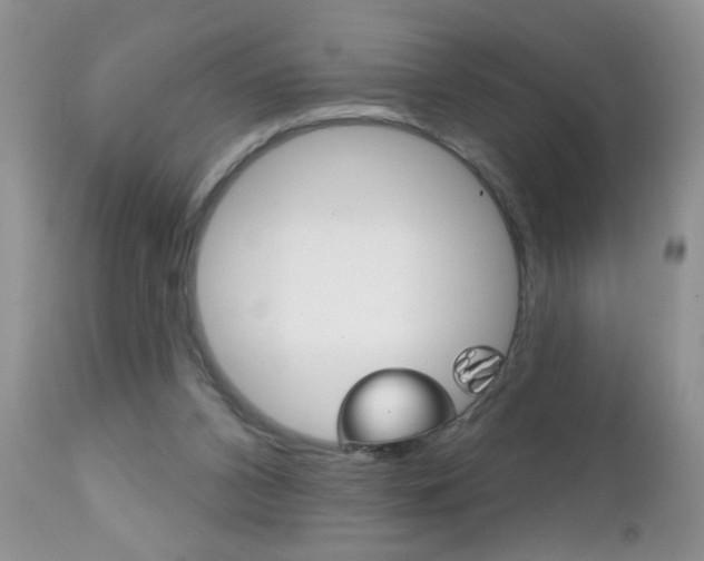 X0000111130112200906301114