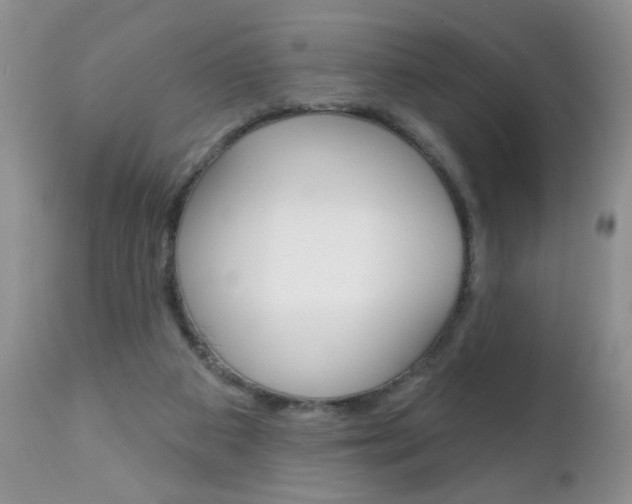 X0000111130113200906301114