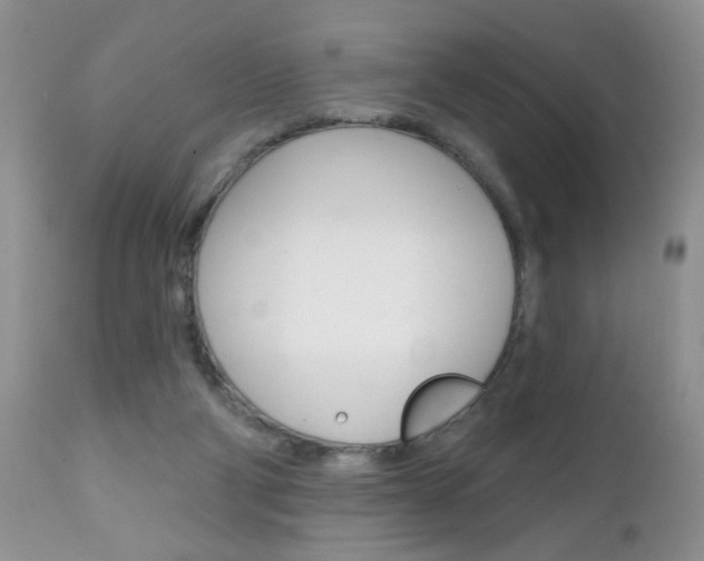 X0000111130114200906301114