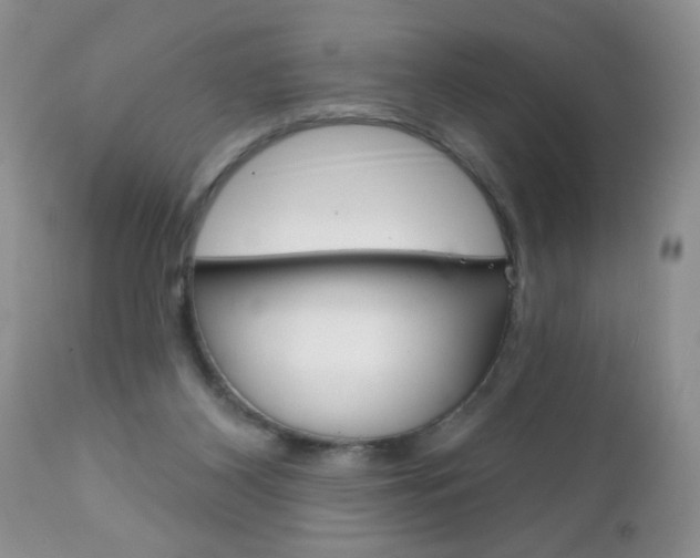 X0000111130116200906301114