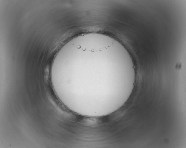 X0000111130118200906301114