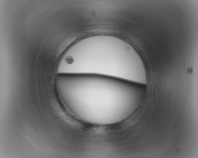 X0000111130120200906301114