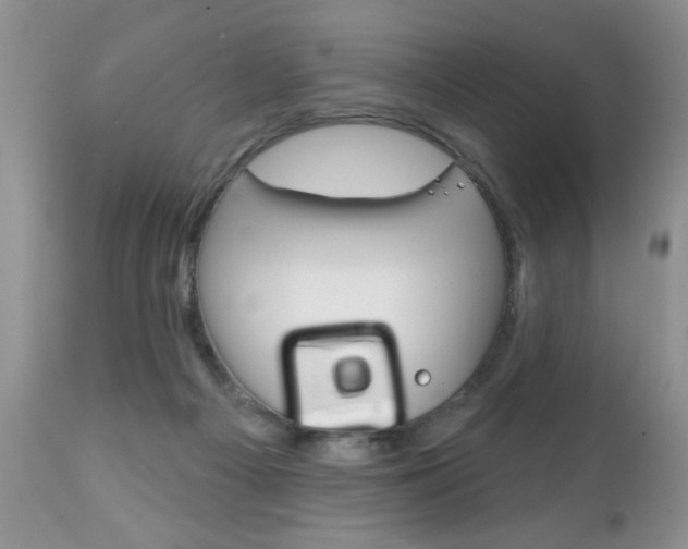 X0000111130121200906301114