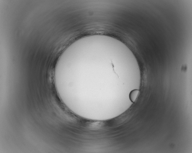 X0000111130122200906301114