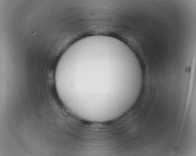 X0000111130123200906301114