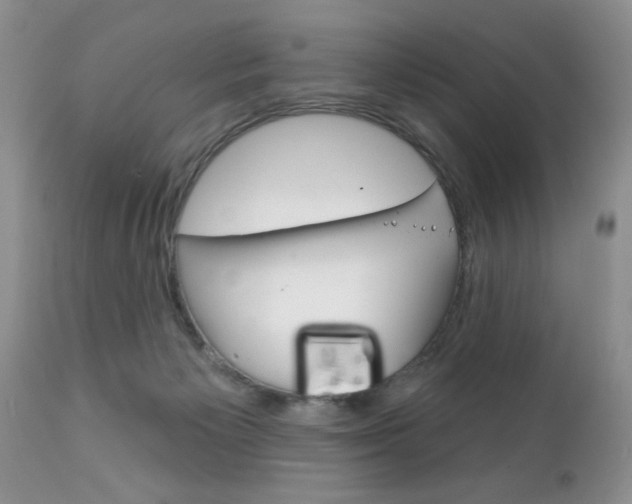 X0000111130125200906301114