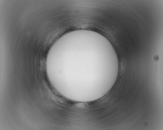 X0000111130126200906301114