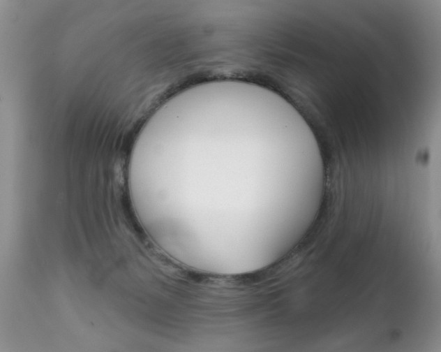 X0000111130127200906301114