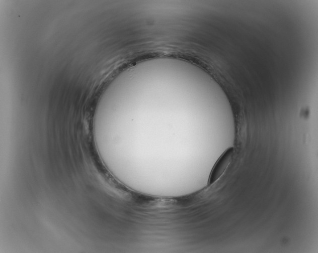 X0000111130128200906301114