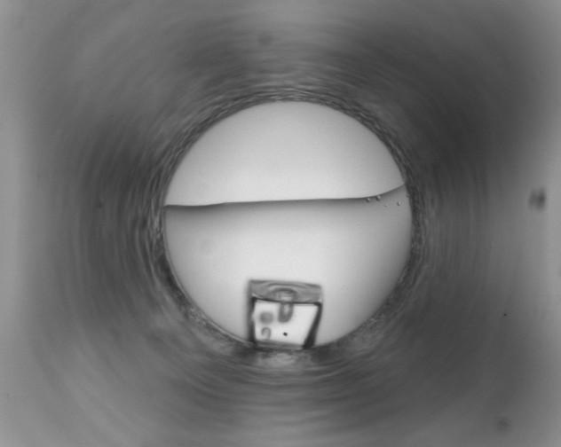 X0000111130129200906301114