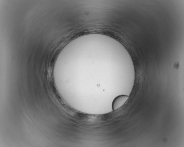 X0000111130130200906301114