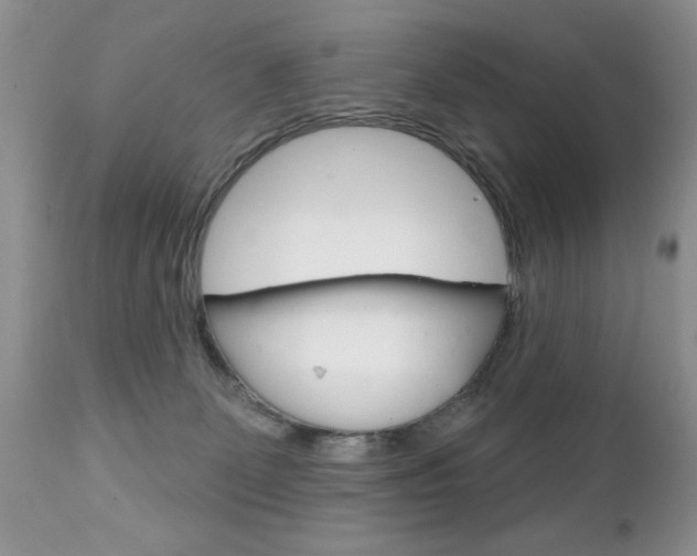 X0000111130131200906301114
