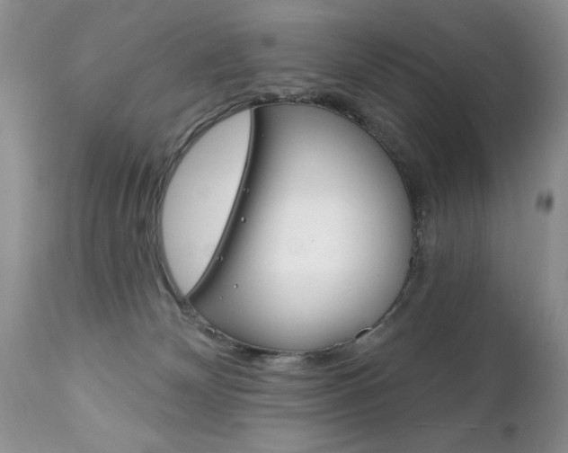 X0000111130132200906301114