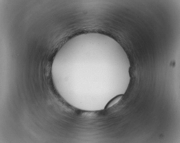 X0000111130133200906301114