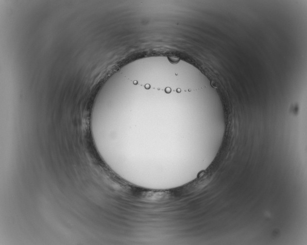 X0000111130135200906301114
