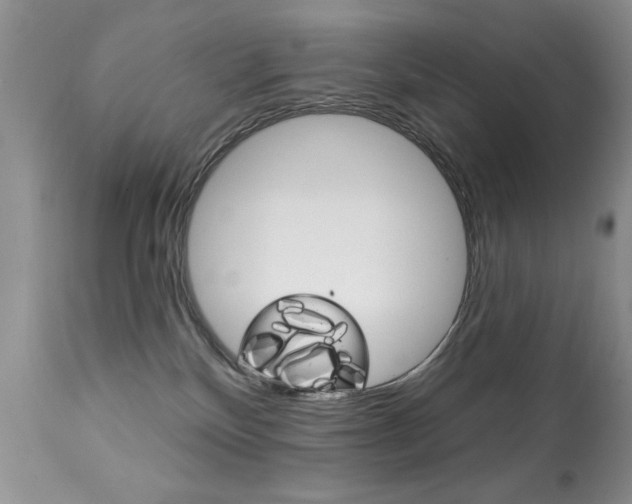 X0000111130136200906301114