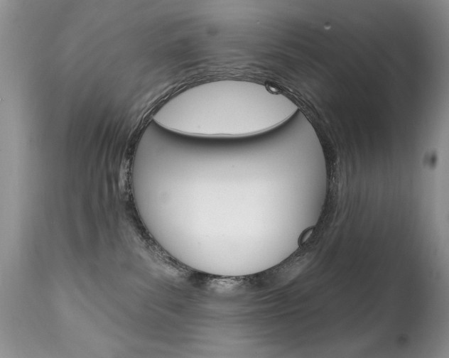 X0000111130139200906301114
