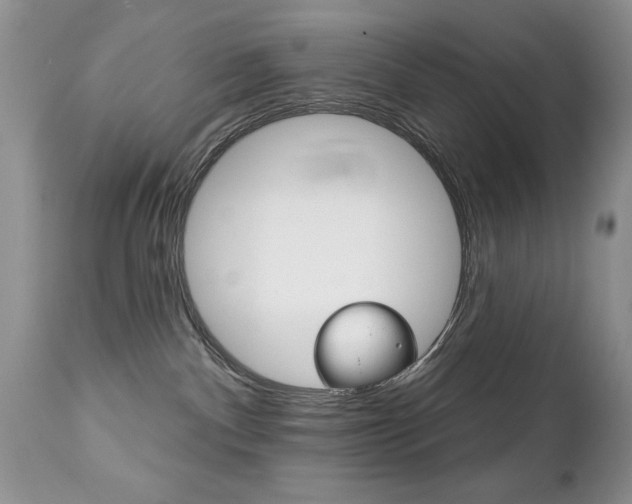 X0000111130140200906301114