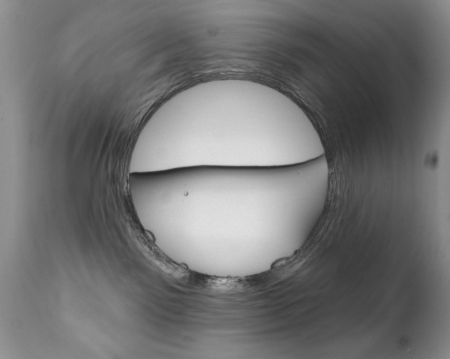 X0000111130141200906301114