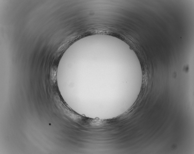 X0000111130142200906301114