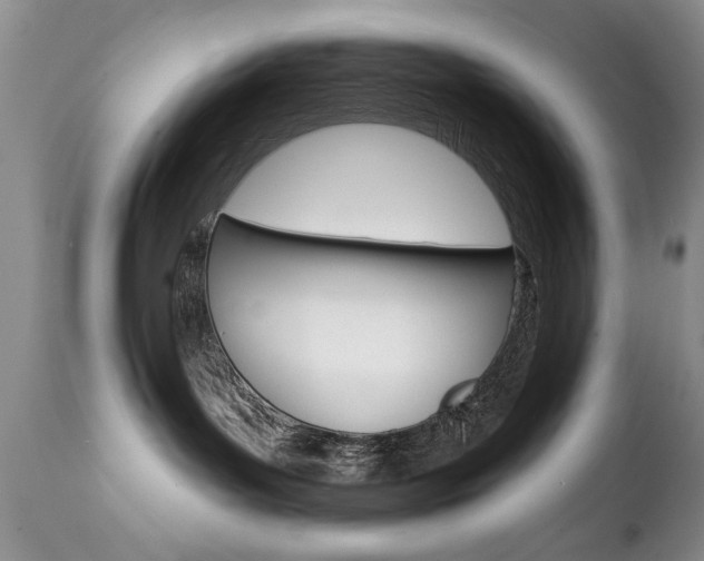 X0000111130143200906301114