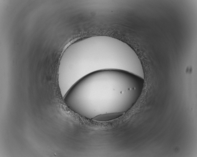 X0000111130144200906301114