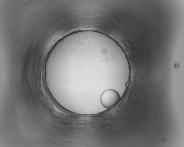 X0000111130145200906301113