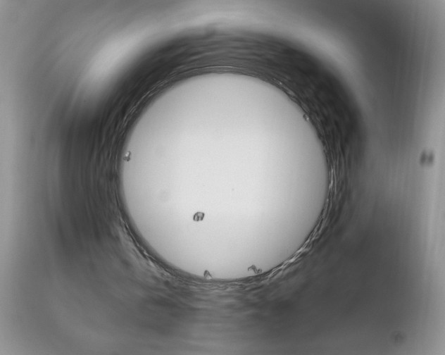 X0000111130146200906301113