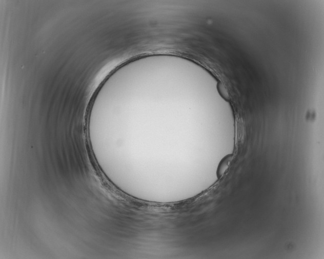 X0000111130147200906301113