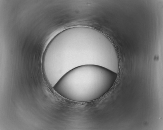 X0000111130148200906301113