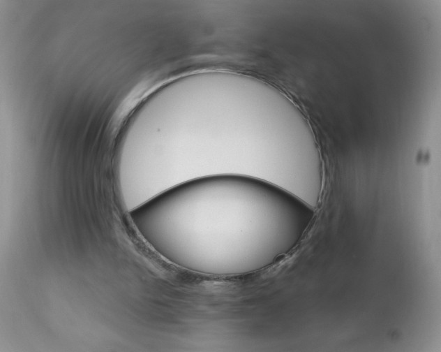 X0000111130150200906301113